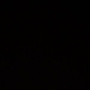 Meet your Posher, Jesus